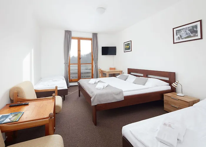 Hotel Profamily 3*